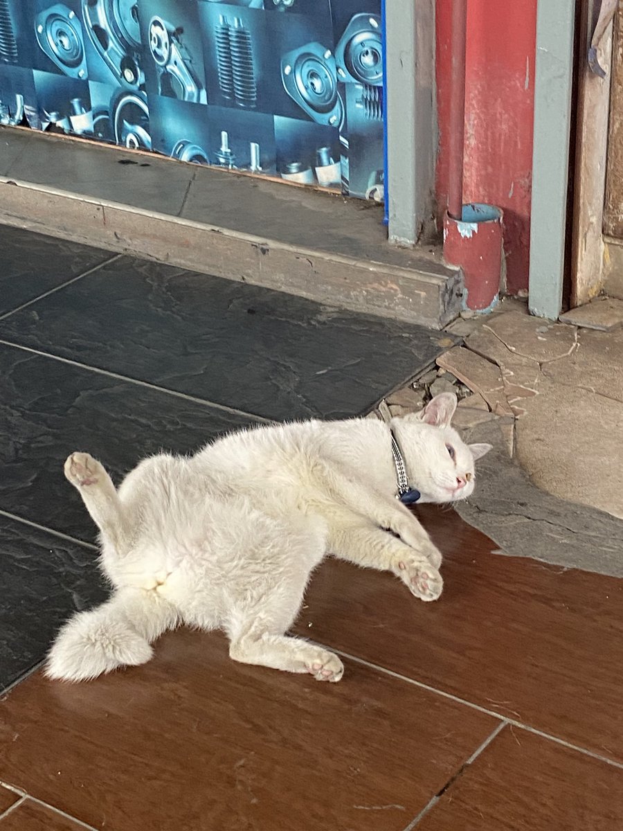 dewtogether's tweet photo. สบายเกินนน https://t.co/xco6L135Do