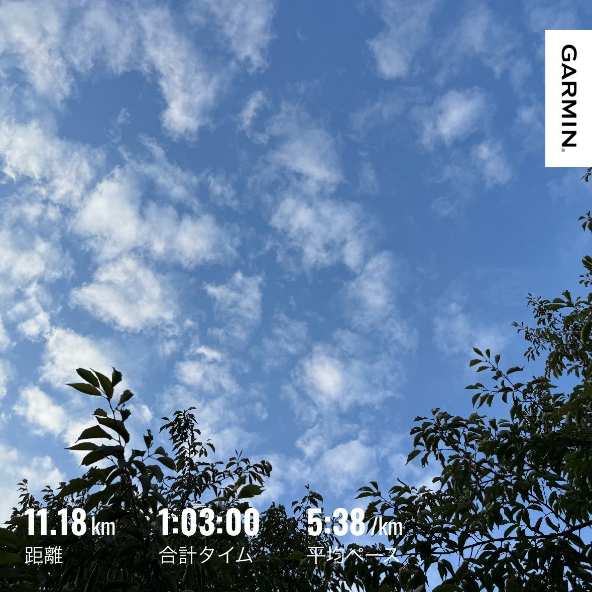 SORAno_Neiro3's tweet photo. 走り終わりの給水中見上げた空 https://t.co/Vvn5Oh5K5M