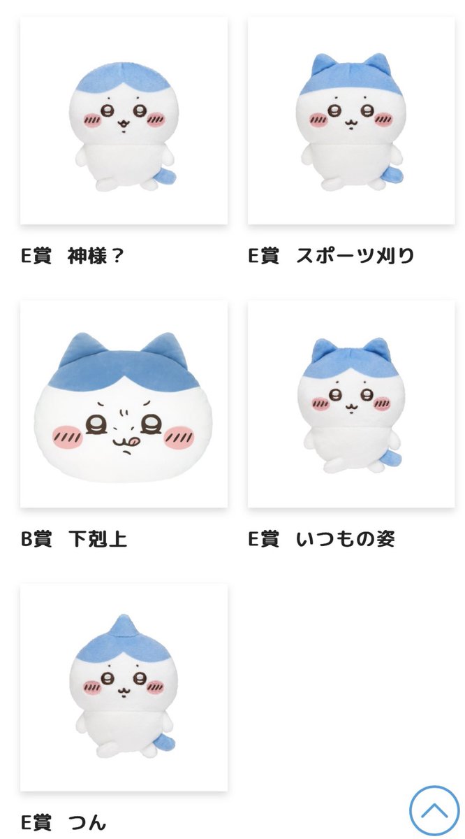 Sa_na_1217's tweet photo. 忘れた頃にやってくる。 https://t.co/W2AOUhdvyT