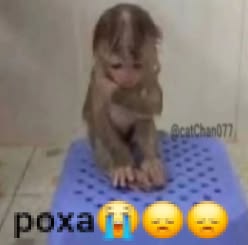 taylvsn's tweet photo. coisa pior que fazer simulado é ter q corrigir pqp https://t.co/Td6pnwgnuD