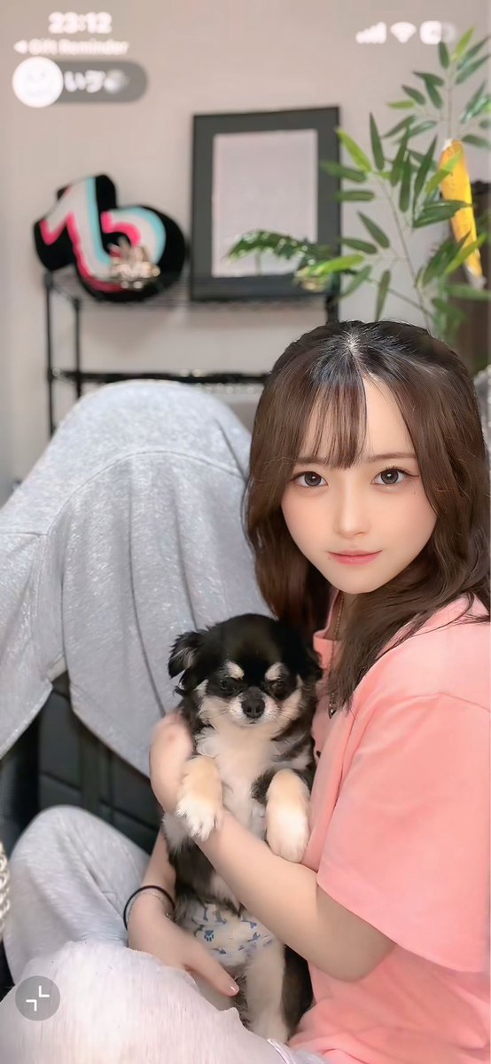 shirotantam's tweet photo. ﾍﾟﾀﾍﾟﾀ(○・ω・)ﾉﾉ□”
#いゔの米粒 https://t.co/mdRSKsFpBE