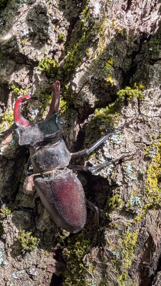 Ololoevich_3344's tweet photo. побачив старих друзів
стало трішки краще https://t.co/9fjiuNdSXc