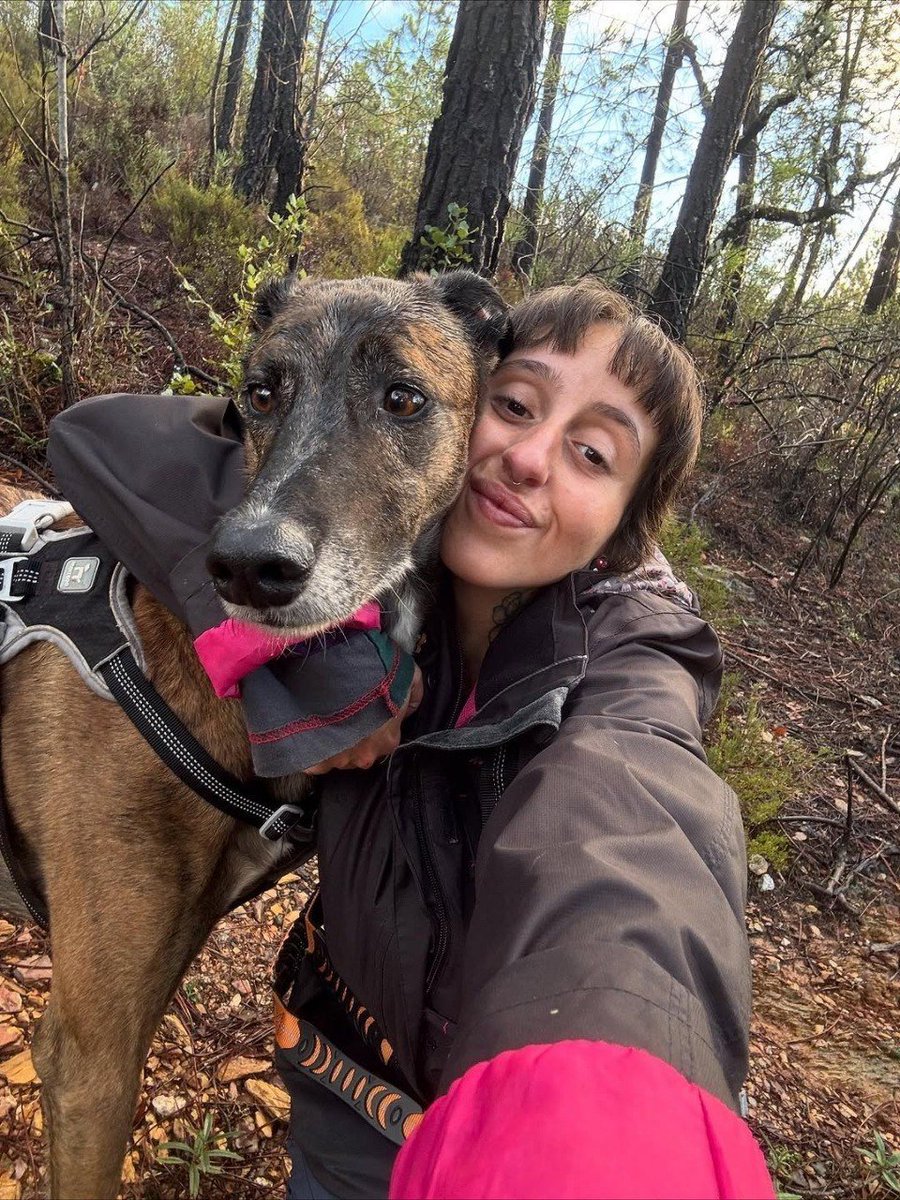 k_9sisi's tweet photo. Tap link for my K9 contents menu available 
https://t.co/iFRVwkuI7N
#doglover #DogMomLife #dogknotting #zoopride #k9bitch #antizoo #beastiality #knotty #dogbitch #k9girl https://t.co/rV1EygfIG4