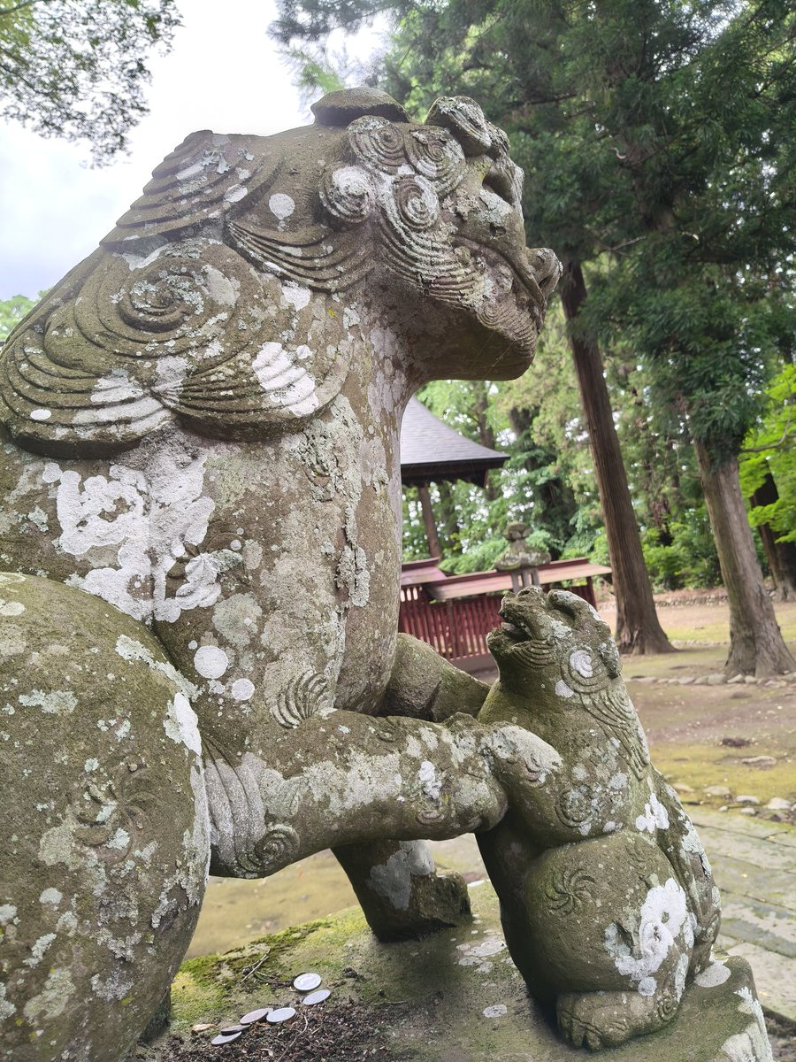 khuma56's tweet photo. 八槻都々古別神社(やつきつつこわけ)の親子狛犬 https://t.co/XvCLtoda61