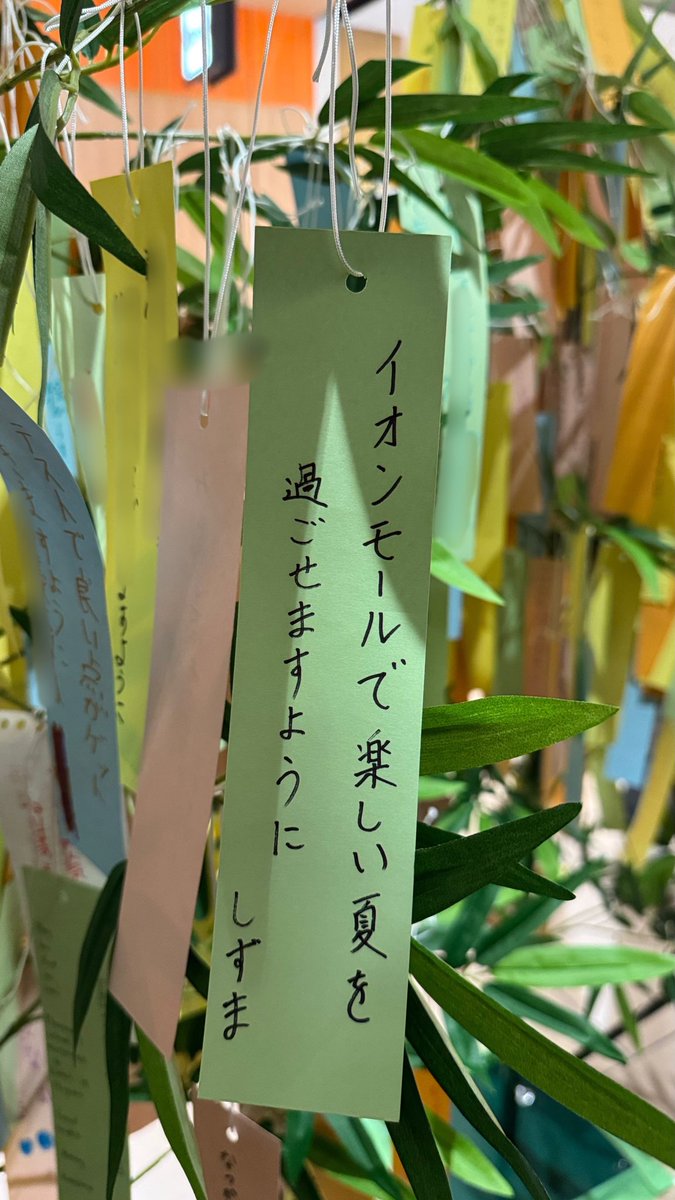 SizmaRei's tweet photo. 🎋 https://t.co/s9YWXXcRAp