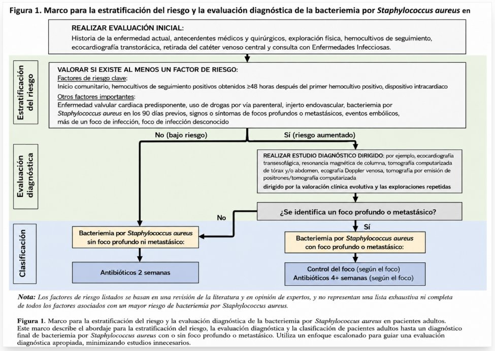 MicroClinicoVLC's tweet photo. 📌 Nueva guía 2026 IDSA/ESCMID sobre bacteriemia por Staphylococcus aureus.

No todo es “antibiótico y días”:
🚨Estratificar riesgo
🎮Controlar foco
🔬Decidir cuándo ampliar estudio diagnóstico
🙄Buscar foco profundo o metastásico
💊Ajustar duración: 2 semanas vs ≥4 semanas https://t.co/04nJqSxLkE