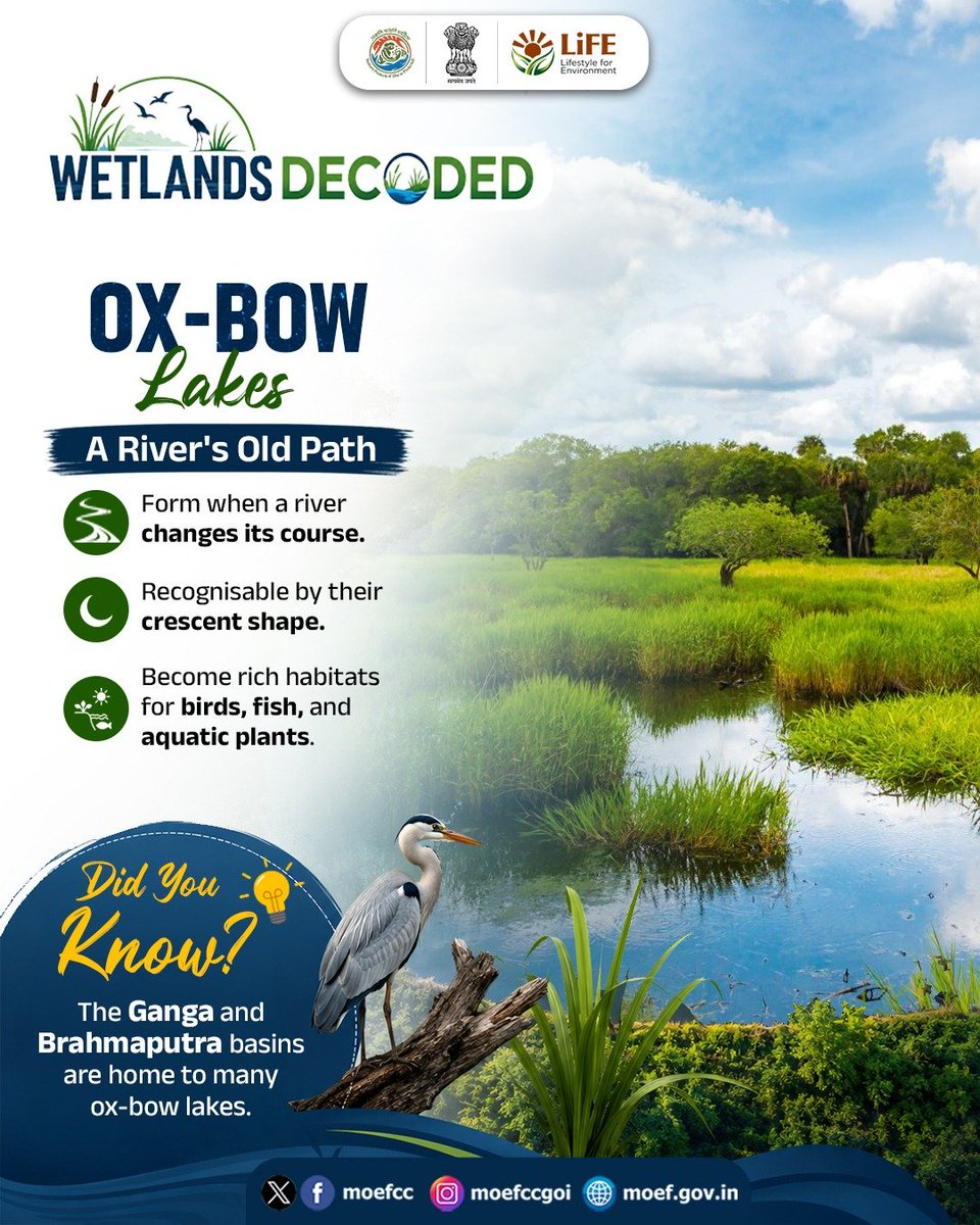 moefcc's tweet photo. Ever wondered what happens when a river changes its course?

Sometimes, it leaves behind a crescent-shaped waterbody called an Ox-bow lake - a unique type of wetland teeming with life.

#Wetlands #ProPlanetPeople
#RamsarSites https://t.co/lxLZeSSPFK