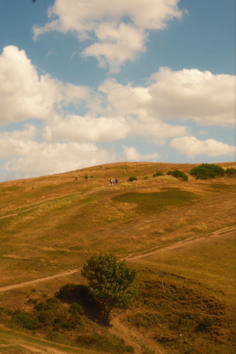 fahjoot's tweet photo. Yesterday, I walked 5 km at Malvern Hills, England. It’s a bit dry recently but still beautiful 🌸 https://t.co/eFtKxDV03l