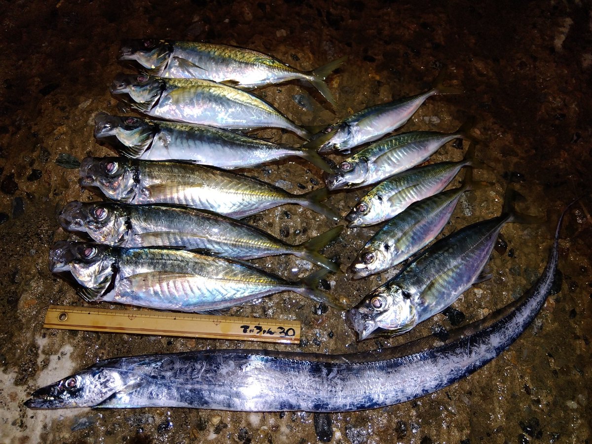 583ishikawa's tweet photo. のと里海PokémonウィズFISH🥰
朝夕釣りして釣れない時間は能登のポケモン探しもまたよきかなと😊 https://t.co/q89GDxghxy