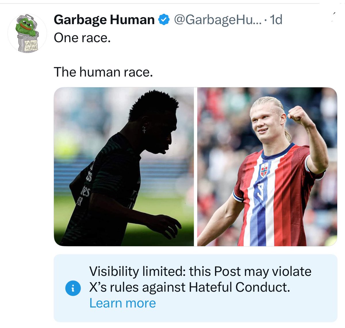 Garbage Human tweet media