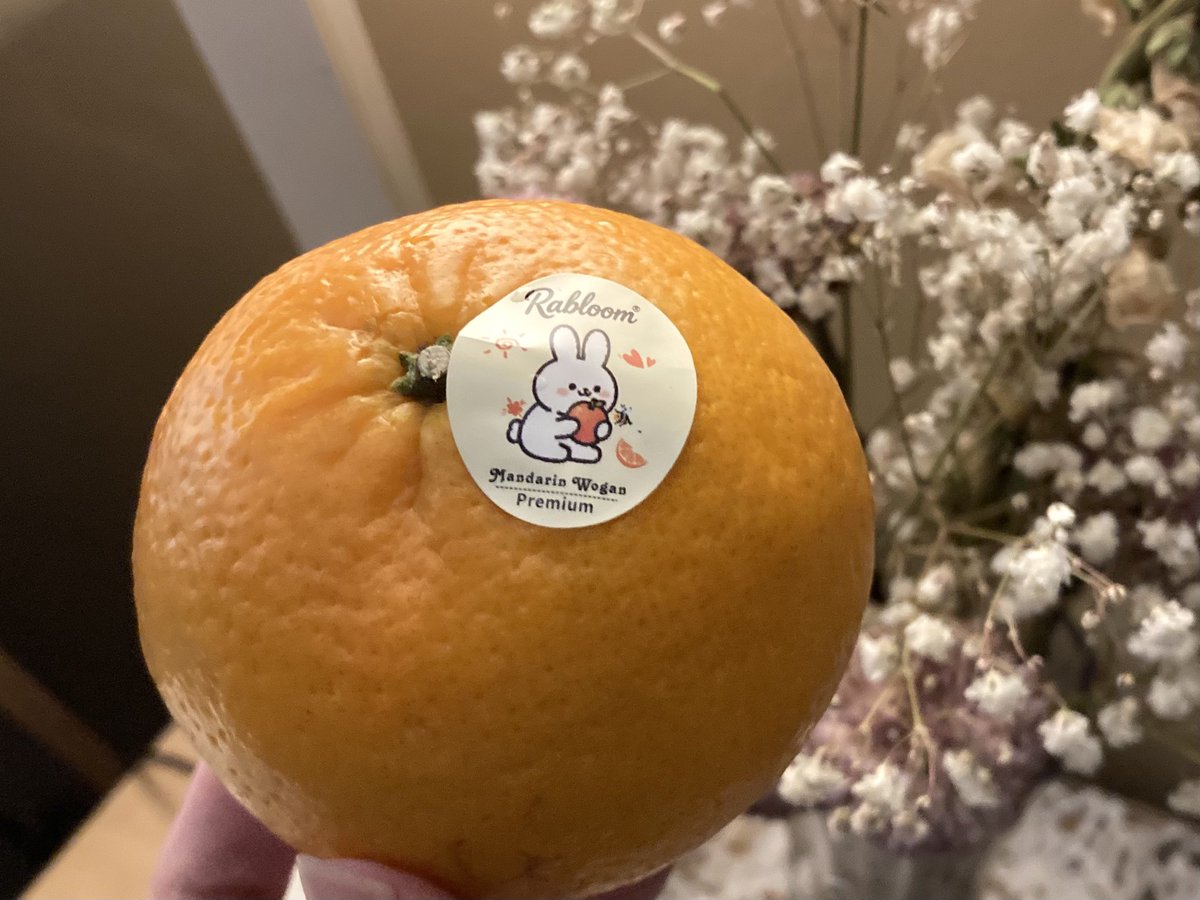 cloudmilkeu's tweet photo. this orange fruit label is so cute ...?!?? https://t.co/iu9gawJZXc