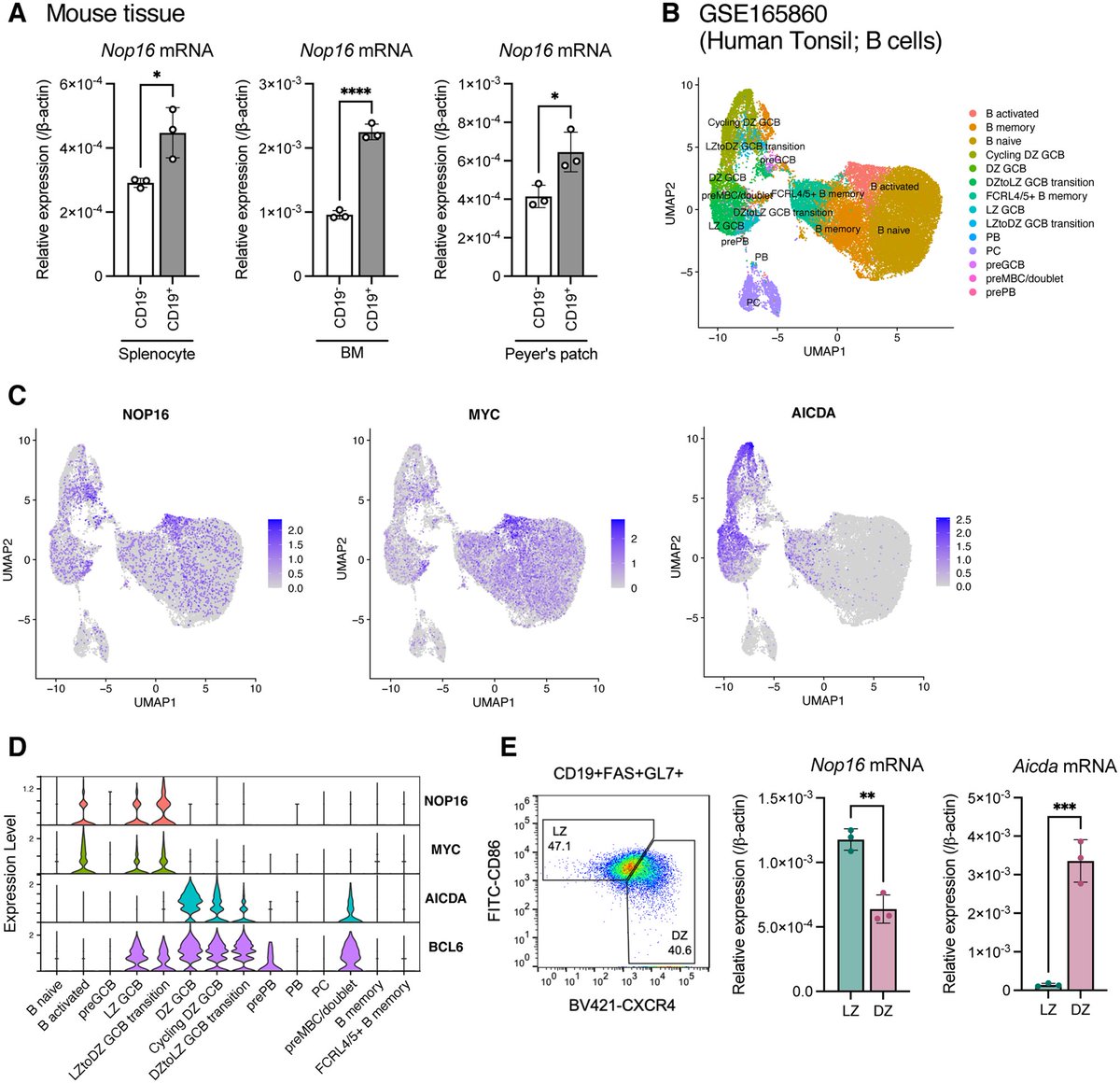 J_Immunol tweet picture