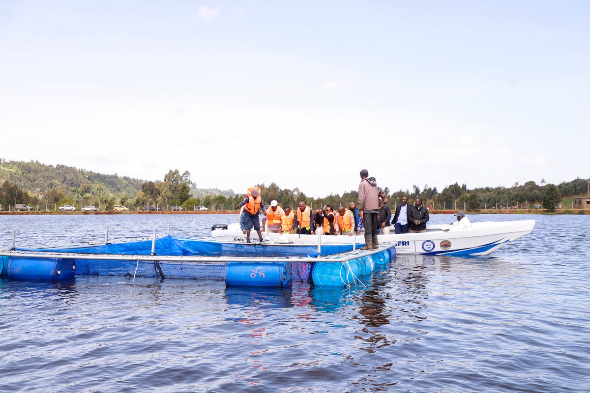 AlexKWachira's tweet photo. I joined my colleagues, Principal Secretaries Betsy Njagi and Ephantus Kimotho, for the launch of the Gwa Kiongo Earth Dam Last Mile Irrigation Connectivity Project and the fisheries development programme at Gwa Kiongo Dam.

The fisheries development programme marks the beginning of fish farming at the dam through the distribution of 15,000 quality fish fingerlings, fish feeds, fishing boats, fishing nets, and essential safety gear to support local fisherfolk and enhance aquaculture production.

The Last Mile Irrigation Connectivity Project will establish irrigation infrastructure covering 250 acres, directly benefiting approximately 1,000 households. The project comprises a water reticulation system, two 225m³ masonry storage tanks, and a solar-powered pumping unit that will enable year-round farming, increase agricultural productivity, and strengthen food security.

These integrated interventions reflect the Government’s commitment to unlocking the full potential of our water resources to drive sustainable economic growth, create jobs, strengthen food security, and improve the livelihoods of communities across the country.

In attendance Hon Moses Kuria, President’s Senior Economic Advisor