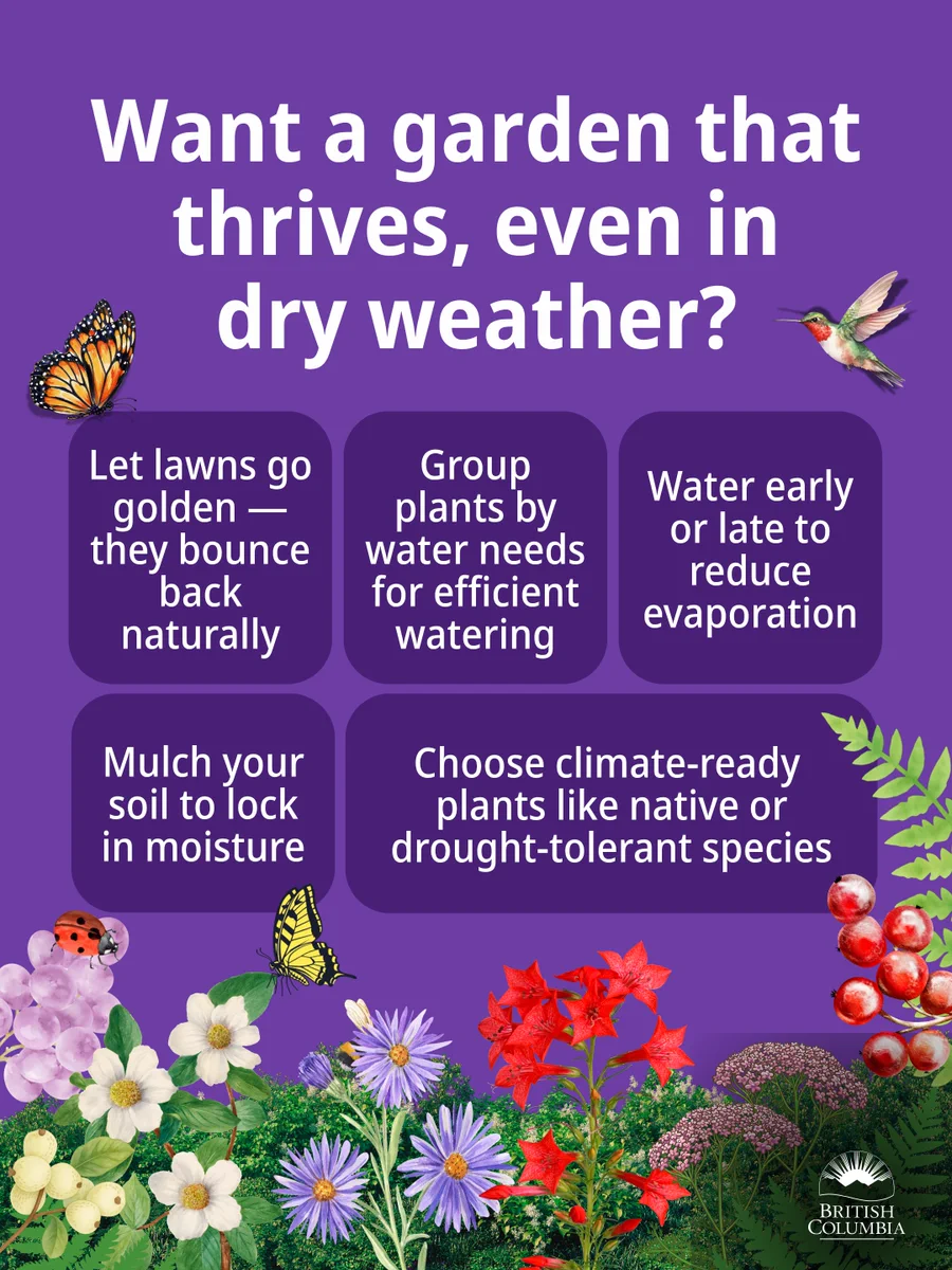 Want a garden that thrives, even in dry weather?
Garden smarter, not harder

• Choose climate‑ready plants like native or drought‑tolerant species 
• Mulch your soil to lock in moisture 
• Let lawns go golden — they bounce back naturally
• Group plants by water needs for efficient watering 
• Water early or late to reduce evaporation 
