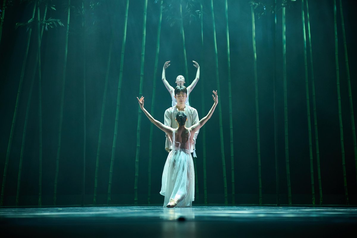 dancedatap's tweet photo. In rehearsal with Kang Hyo-hyung and Seoul Metropolitan Ballet // In the Bamboo Forest

Performances: May 15-17, 2026

📸 Courtesy of Seoul Metropolitan Ballet https://t.co/PKVdrbnyRV