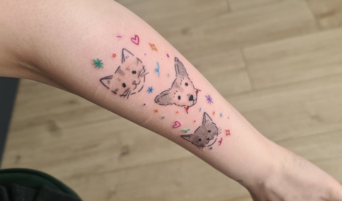 Wiki336's tweet photo. new baby 🙊💗 https://t.co/MOtSTbQuOL