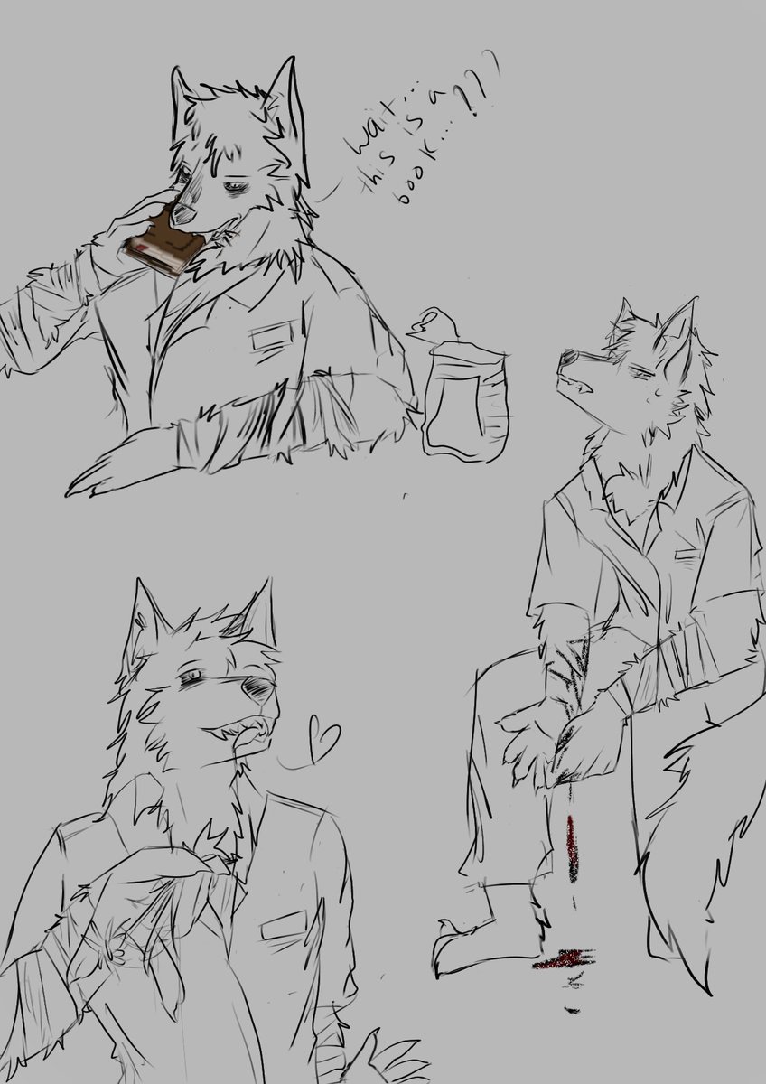 phong32414's tweet photo. lore? trauma? no. burger and  just a very tired wolf trying his best  👍 #furryart #doodlesㅤㅤ https://t.co/8CkNJhekHN