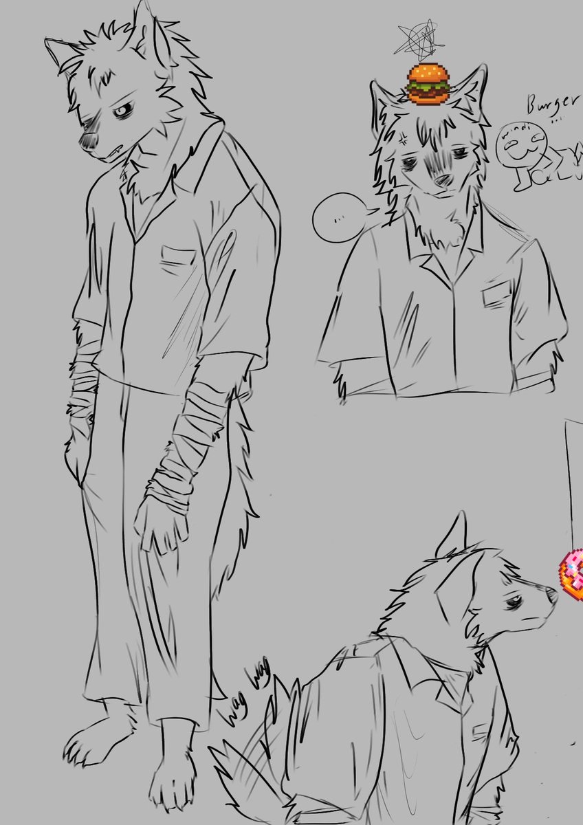 phong32414's tweet photo. lore? trauma? no. burger and  just a very tired wolf trying his best  👍 #furryart #doodlesㅤㅤ https://t.co/8CkNJhekHN