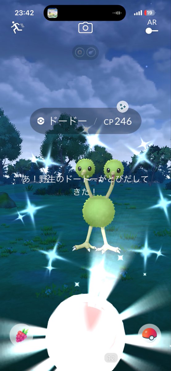 Yadirobee's tweet photo. 本日の色違いはドードー♀🦤

ドードリオに進化

6年ぶりの2匹目 https://t.co/CZO3WVXP5d