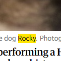 Snowcrypto2547's tweet photo. giga viral, just found the name "Rocky"

look how many articles

https://t.co/tC5UdRbvjr

https://t.co/tC5UdRbvjr

https://t.co/fv6HJesjmY

https://t.co/x36t7wCKqS https://t.co/uoFiutHS8f
