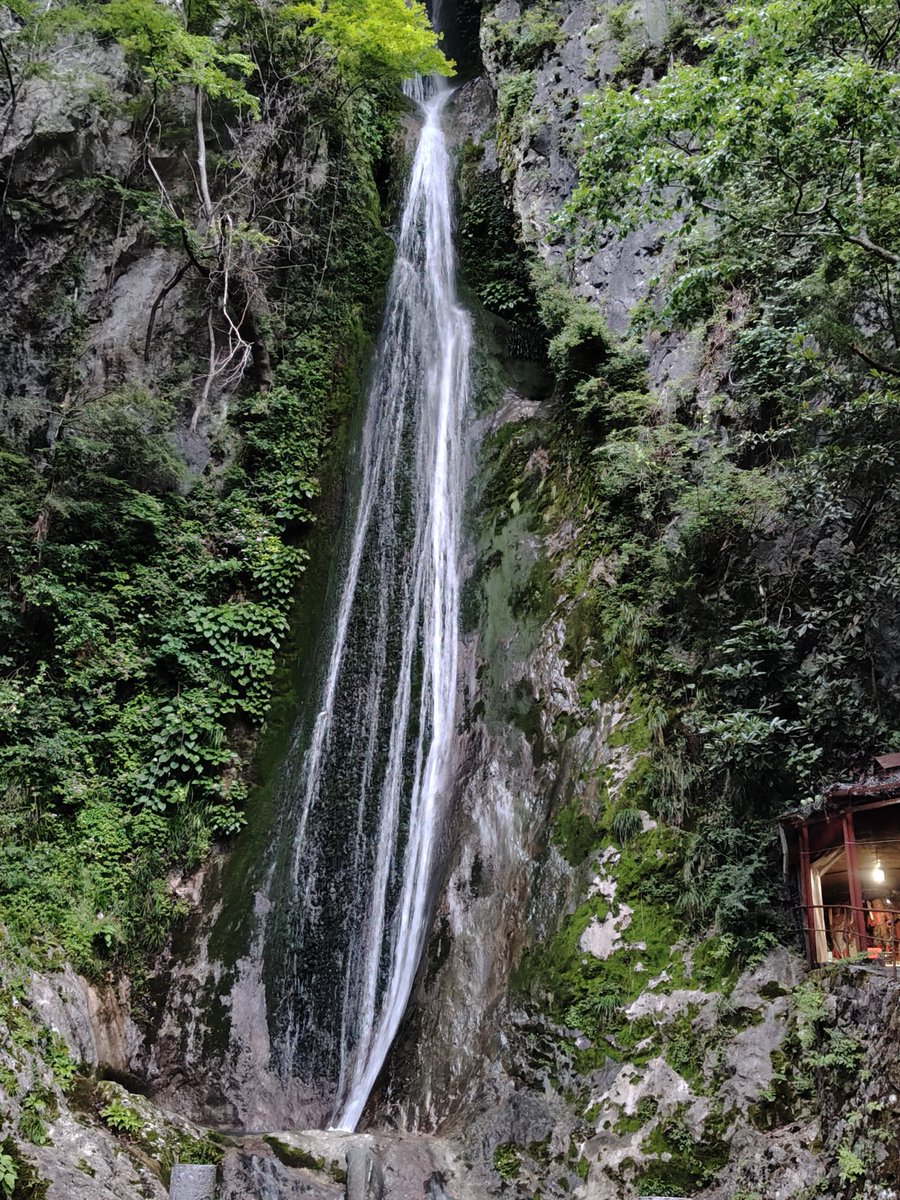 eigasuki0224's tweet photo. ちょっと前まで休みの日は県北の絹掛の滝によく行ってました。滝も綺麗なんですが心配事があって滝の横にある不動明王を拝みにいくとちょっとずつ吉報があって日課に。ただ、お堂内はお経が２４時間流れていてひとけがない夜に来るとちょっとホラーです。 https://t.co/mBh6nGrnFp