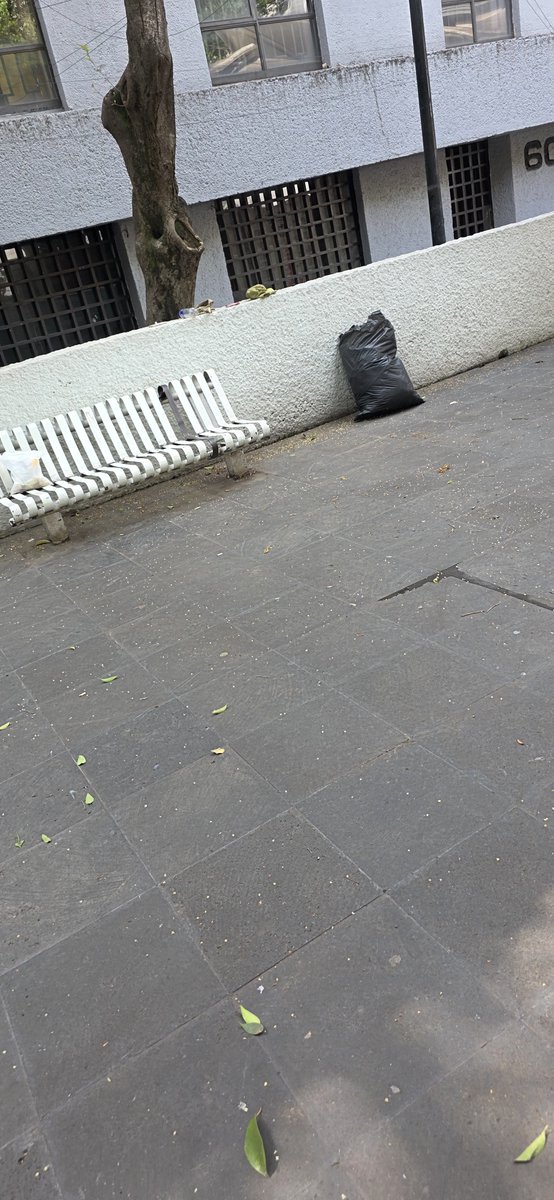 Edgar_mitre's tweet photo. Cuando la alcaldesa @AlessandraRdlv no graba tiktoks o reels, ésta es la realidad de los servicios de la @AlcCuauhtemocMx... 
#ParqueGiordanoBruno https://t.co/AKY6fJpPAO