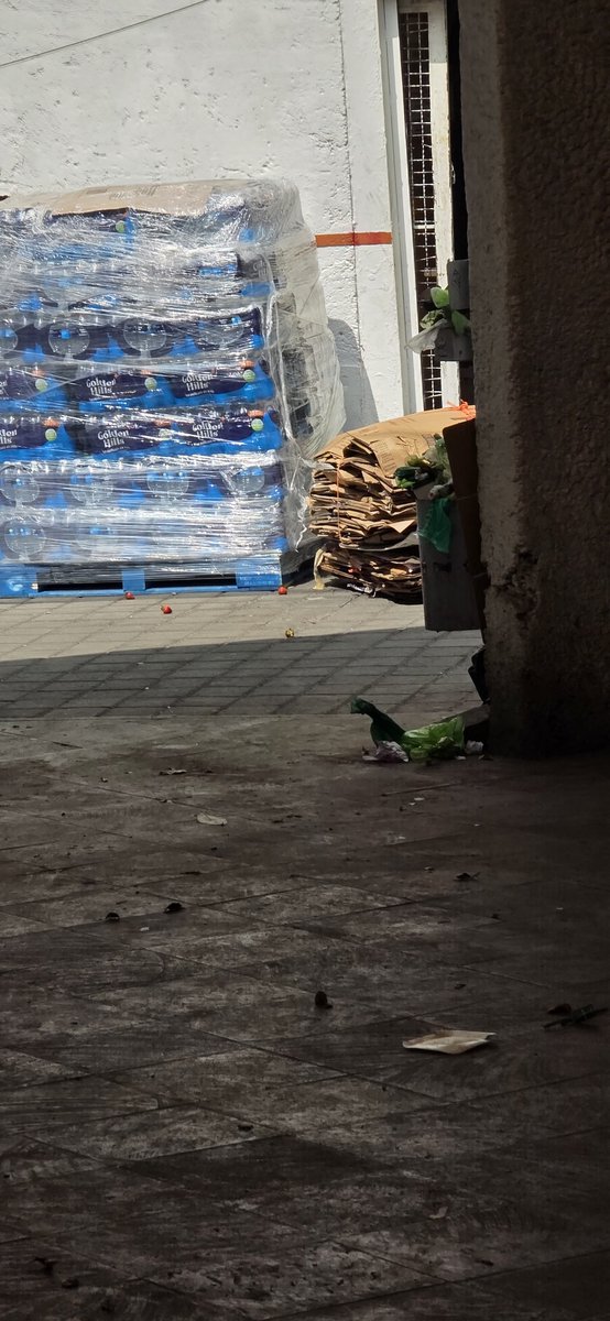 Edgar_mitre's tweet photo. Cuando la alcaldesa @AlessandraRdlv no graba tiktoks o reels, ésta es la realidad de los servicios de la @AlcCuauhtemocMx... 
#ParqueGiordanoBruno https://t.co/AKY6fJpPAO