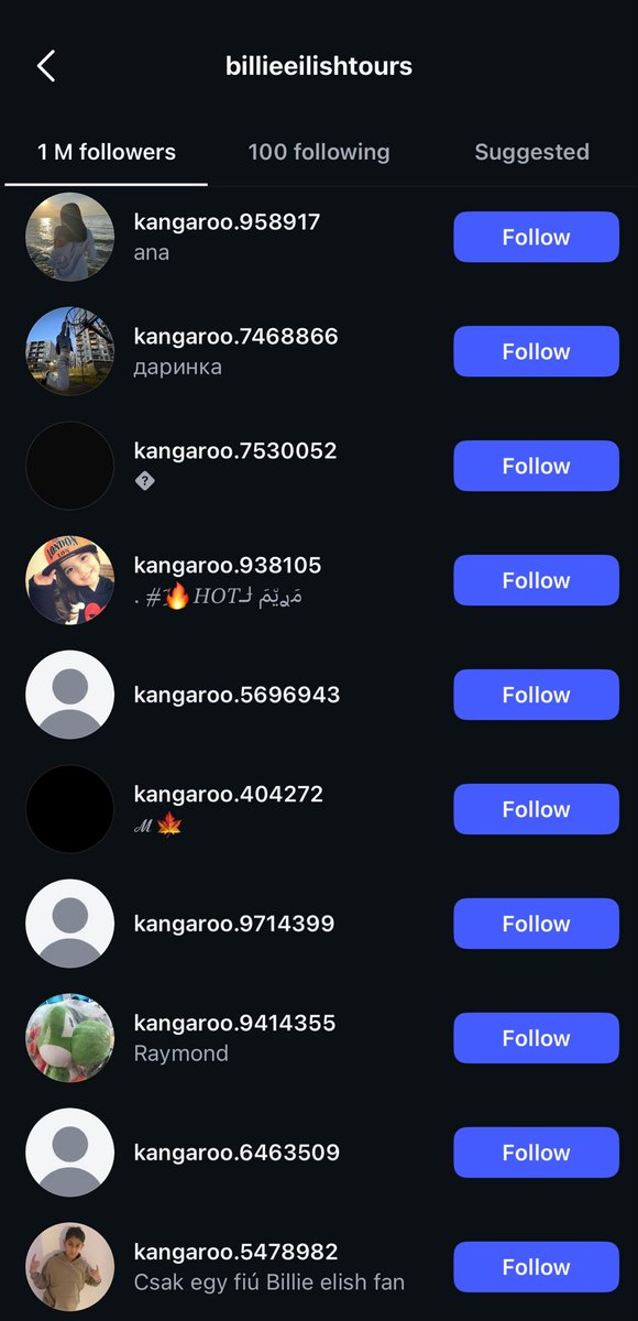 hevanburger's tweet photo. @ningtheactivist i appreciate you defending nn but please don’t spread misinfo like this? below is an explanation of what these usernames are. and i can even show a ss of the followers from a random billie eilish acc having this too and u can tell they’re not bots https://t.co/37ltDhIGUb