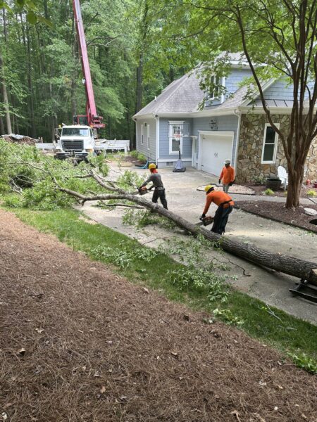 NRaleighTree's tweet photo. 🏠 New home? New yard? Make tree care part of your move-in checklist.

Before you unpack every box, take a look at the trees around your property.
Check out our latest blog https://t.co/78HtndAvMU https://t.co/6lNVAFbmov