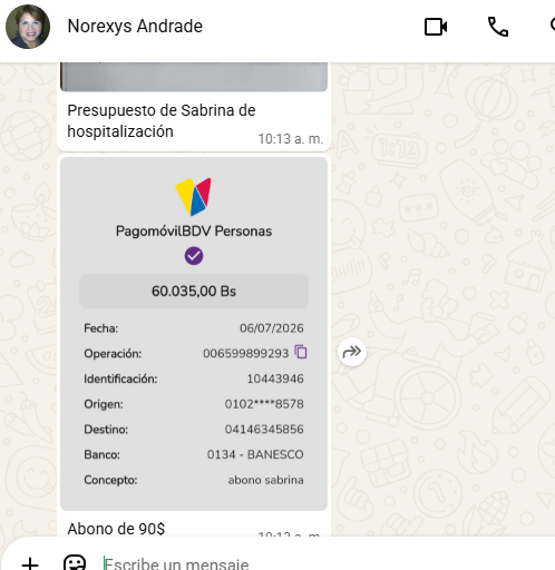 ManadaMiaucito's tweet photo. Para los primeros gastos de Sabrina en la Clínica hemos podido abonar hasta este momento $90. Gracias a quienes nos han ayudado en especial a P8a, Y, L.C.E.L. y A.C.

Seguimos pidiendo por su ayuda y apoyo en esta situación tan inesperada.

Sabrina está estable, comió algo hoy. https://t.co/SmPQIsSpoN