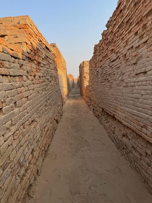 Ancient_Indus's tweet photo. The sun sets on the Stupa Mound at Mohenjo-daro in early 2026 [Image 1]. The so-called "Divinity Lane" at Mohenjo-daro [2] separates the Stupa from the Great Bath, "College" and other areas. The name was given by early archaeologists who regarded the whole area as sacred and imagined that Indus priests would walk along it; we have no idea what Indus people called it, or whether they even gave it a name.

"Low Lane" in the DK-G area [3], and another lane in the HR Area [4] give some sense of how beautiful the light falling on different areas of Mohenjo-daro is at the end of the day.