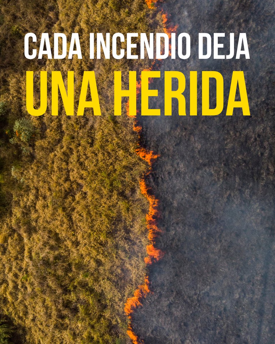PartidoVerde_es's tweet photo. Cada incendio deja una herida.
Cada herida nos recuerda lo mismo proteger el territorio no puede esperar! https://t.co/LExBhOVgUw