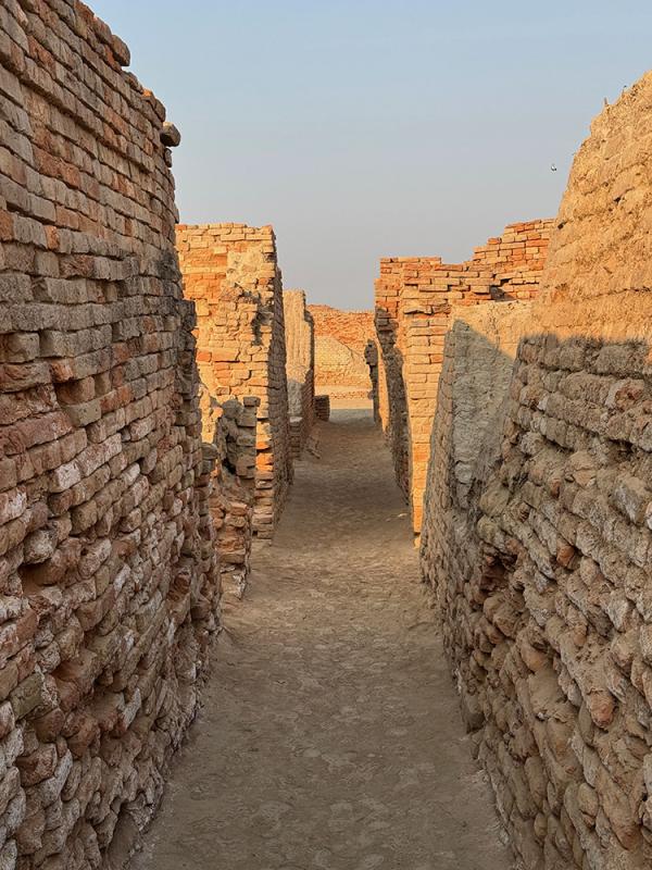 Ancient_Indus's tweet photo. The sun sets on the Stupa Mound at Mohenjo-daro in early 2026 [Image 1]. The so-called "Divinity Lane" at Mohenjo-daro [2] separates the Stupa from the Great Bath, "College" and other areas. The name was given by early archaeologists who regarded the whole area as sacred and imagined that Indus priests would walk along it; we have no idea what Indus people called it, or whether they even gave it a name.

"Low Lane" in the DK-G area [3], and another lane in the HR Area [4] give some sense of how beautiful the light falling on different areas of Mohenjo-daro is at the end of the day.