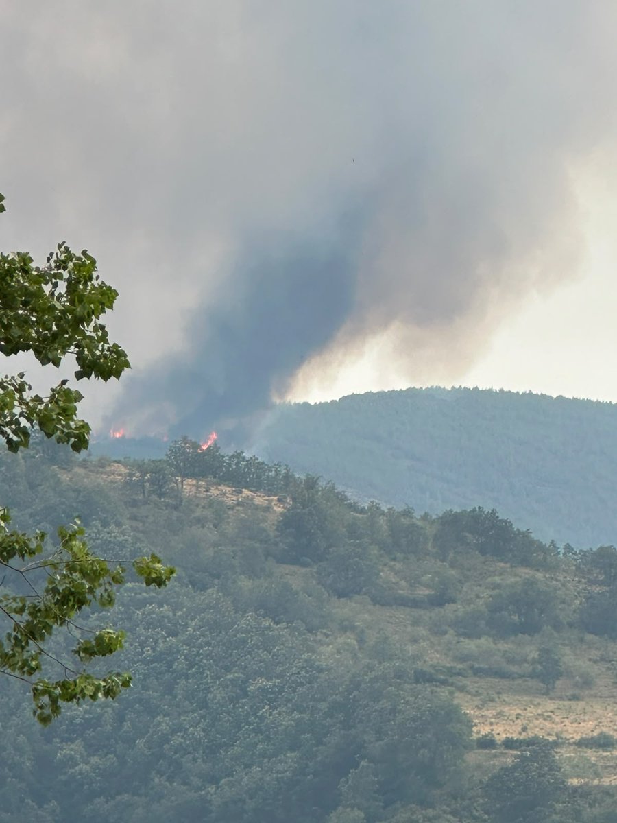 briftabuyo's tweet photo. 18:25🎥Nos informan de otro incendio forestal en nuestra provincia que coje fuerza en Espina de Tremor #LeónESP.

Desconocemos medios actuando. https://t.co/olEEfF7xfG