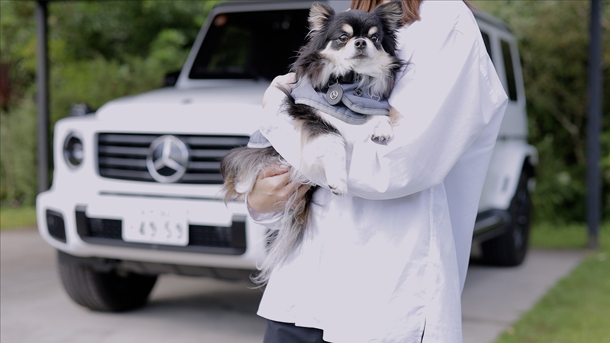 MercedesBenz_JP's tweet photo. 【Mercedes-Benz Collection】
2026年夏コレクションから、新作ペットアイテムが登場🐾

日常のお散歩から週末のドライブまで、愛犬との夏のひとときをより快適に仕立てる上質なラインアップです。 https://t.co/FZGg22VAvo
