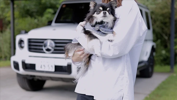 メルセデス・ベンツ日本／Mercedes-Benz Japan on X: 