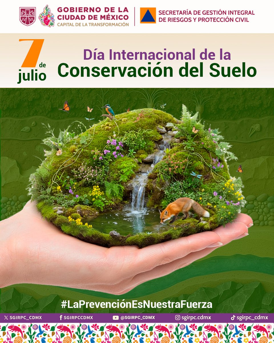SGIRPC_CDMX's tweet photo. En este día, recordamos la importancia que tiene el suelo para la vida. Al cuidar los suelos contra la erosión y la desertificación, protegemos los alimentos, el agua, la vida de millones de seres vivos y el futuro de la humanidad. 

Preservamos los suelos y los ecosistemas saludables al plantar árboles, usando composta, evitando el uso de químicos nocivos para el medioambiente y al dejar de tirar basura en las calles. 

#DíaInternacionaldelaConservacióndelSuelo
