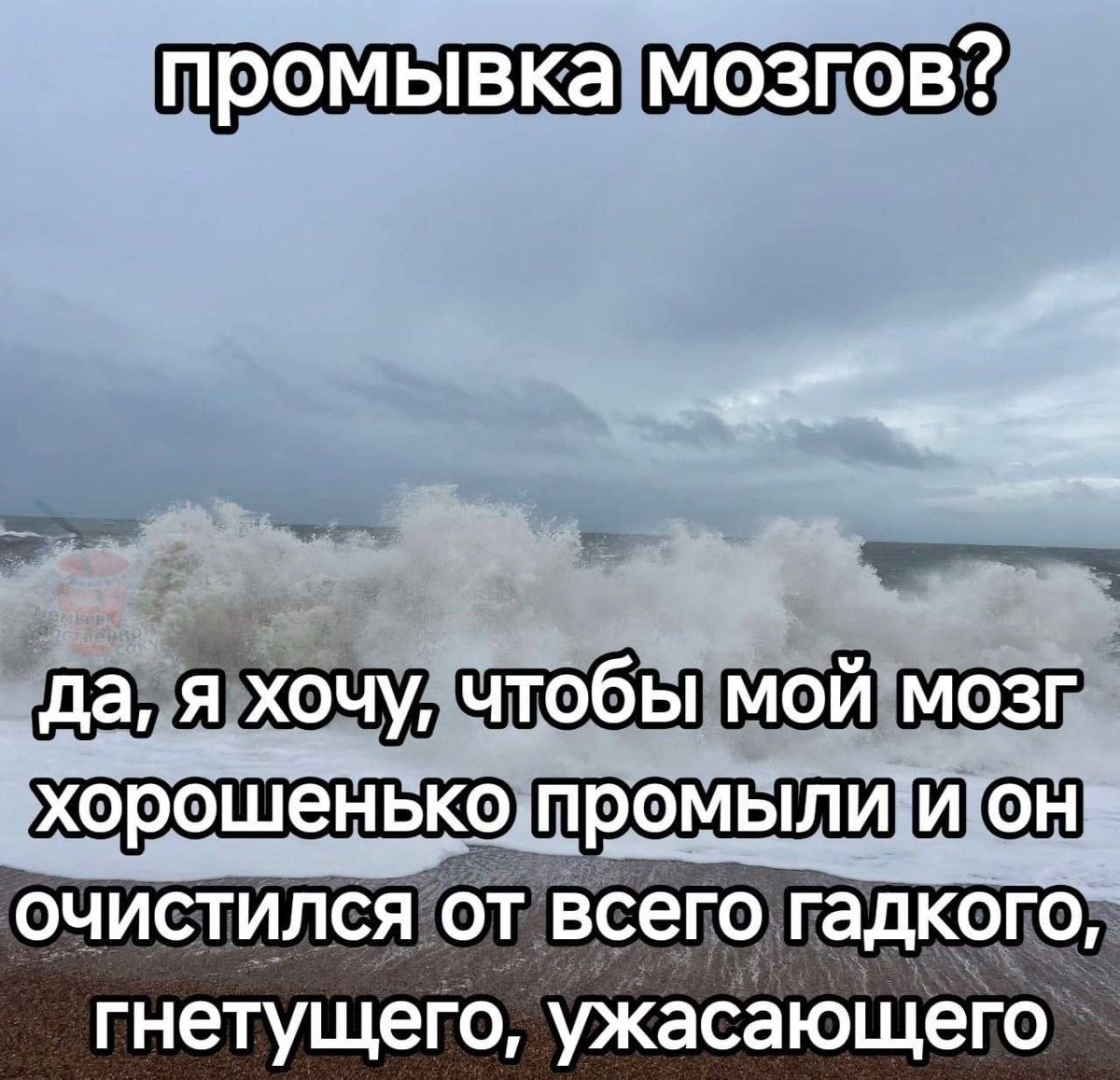 Shipapala_'s tweet photo. Ну я https://t.co/EvCkj2BdIw