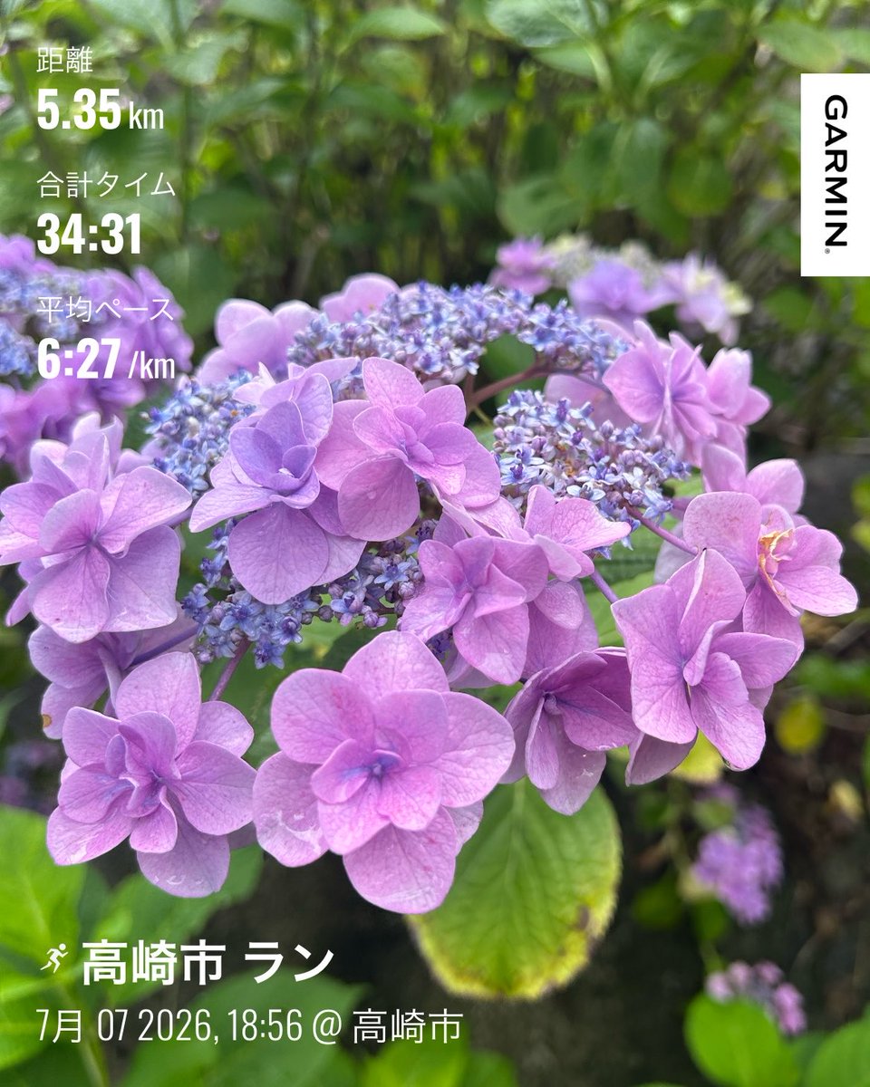 Again_Takeshi's tweet photo. 夕ラーン🏃‍♂
5㌔🖐

ここ最近
ずっと☁空
けど暑くなく
走りやすいのも
事実かな👍

梅雨明けしたら
暑さバテ☀
するのが怖いです😱

#ランニング #Running https://t.co/ibejUK5VGN