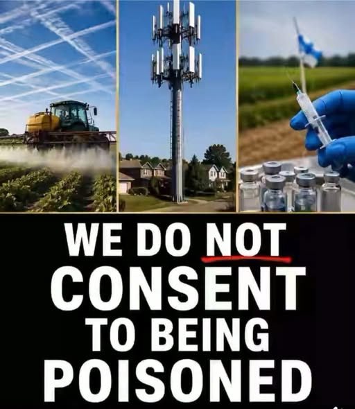 Heavens766's tweet photo. Under the presidential oath to "preserve, protect &amp; defend" the Constitution , toxic chemtrails poison citizens. Flock's 80,000+ surveillance cameras aid ICE tracking without warrants. This is 18 U.S.C. § 2381 treason-levying war, aiding enemies. #Treason #Chemtrails #FlockCams https://t.co/ZV1A4n7tfJ