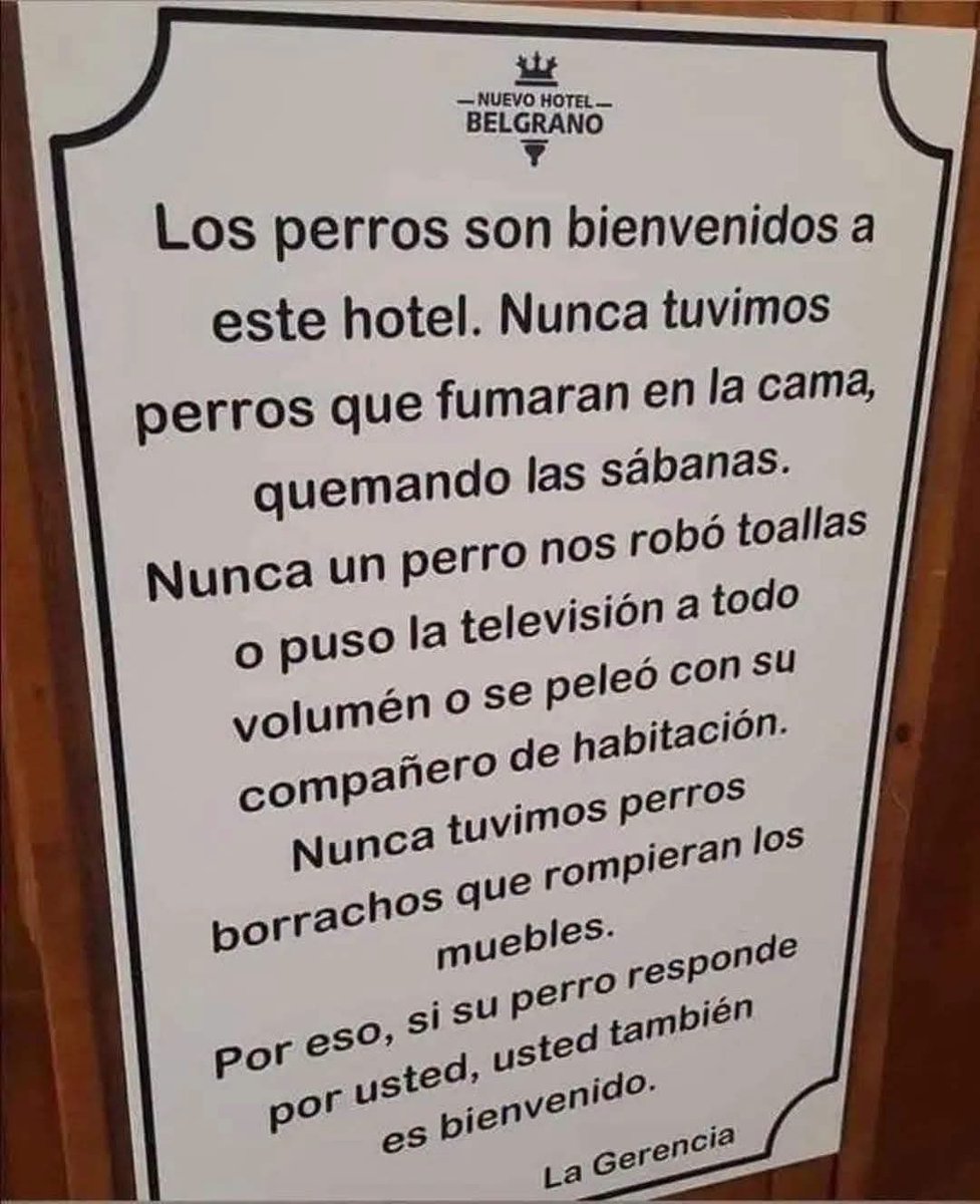 DiloConPerritos's tweet photo. Los perritos son mejores huéspedes 🫶🏾 https://t.co/Sc2volJM5N