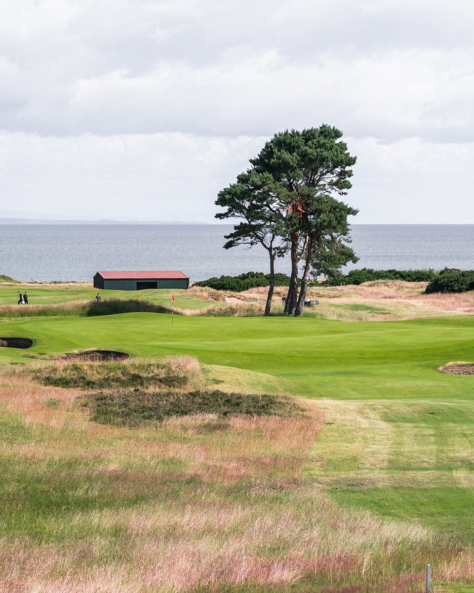 golfhighland's tweet photo. Two championship links, one historic seaside town.
At one end the world-renowned championship links at Nairn with sea views on every hole, at the other Nairn Dunbar, a Highland gem beside the Moray Firth.
This Highland town should sit high up the list for any golfing visitor. https://t.co/4swxqVpDQ1
