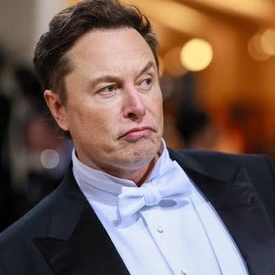 gusholderhaber's tweet photo. Elon Musk: "Tom Holland bir gavat." https://t.co/eQqKmpZoN4