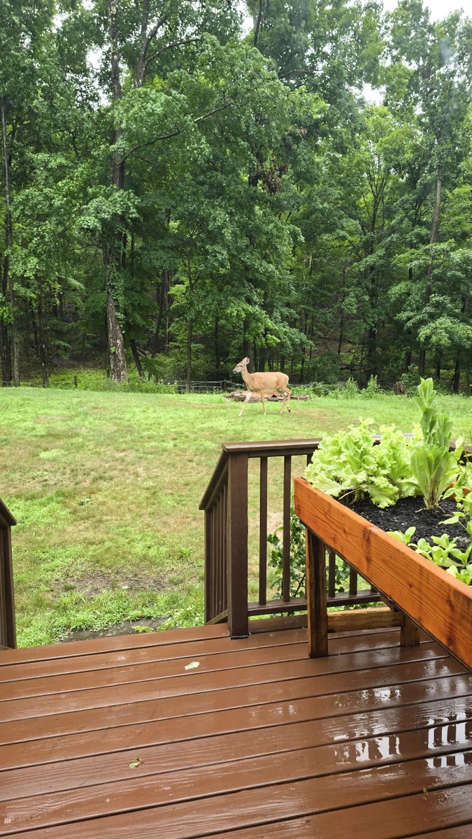 Deerpostss's tweet photo. Arrival and departure https://t.co/XwYUVHAOAT