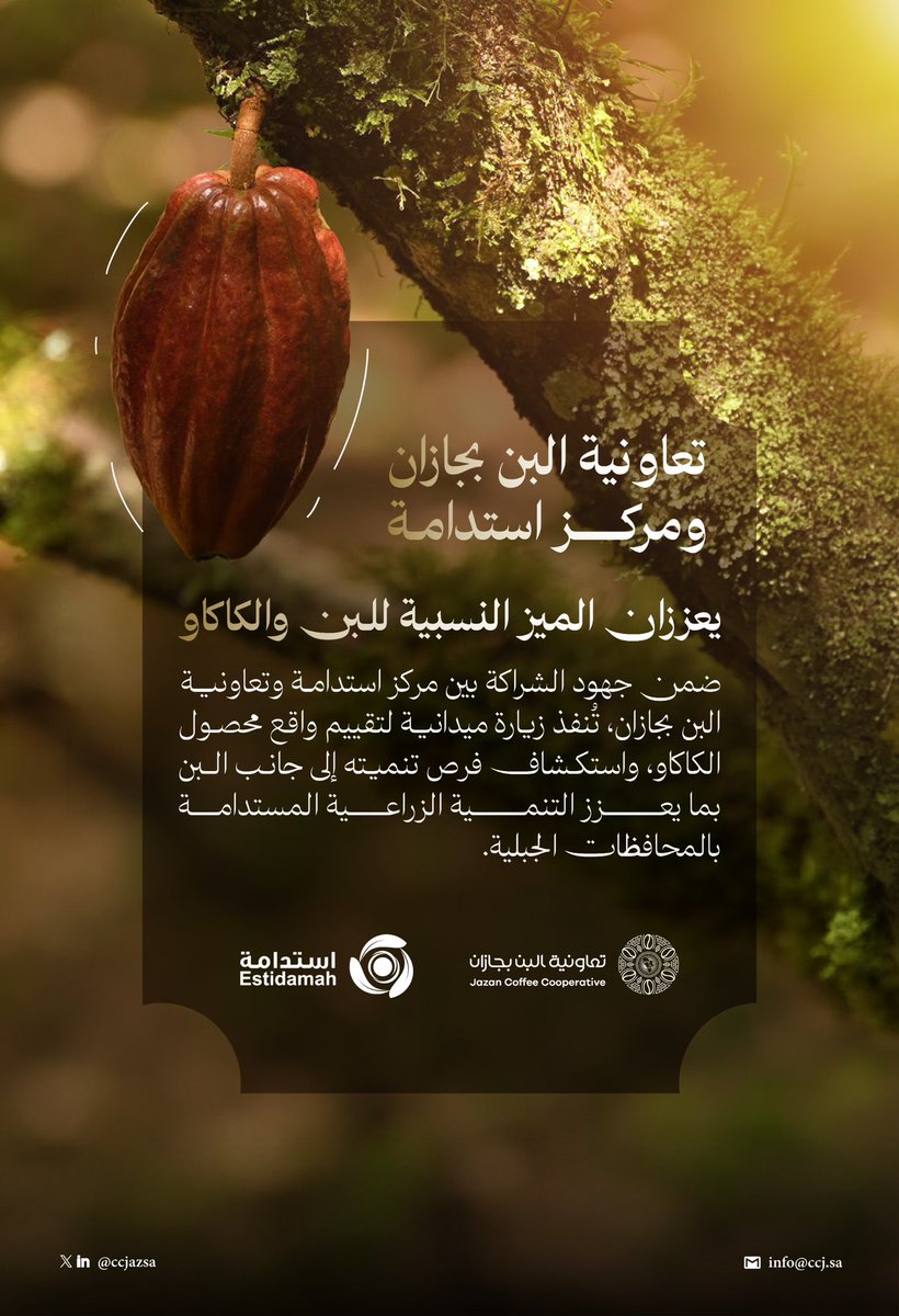 ccjazsa's tweet photo. في #اليوم_العالمي_للشوكولاتة نحتفي بالكاكاو كأحد المحاصيل الواعدة، ونواصل مع شركائنا في المركز الوطني لأبحاث وتطوير الزراعة المستدامة لاستكشاف فرص تنميته إلى جانب محصول البن، بما يعزز التنوع الزراعي، ويرفع القيمة المضافة، ويفتح آفاقًا جديدة للمزارعين في المحافظات الجبلية.
•
•
@MEWA_KSA 
@HRSD_SA 
@EstidamahSA 
•
•

#الكاكاو
#البن_السعودي
#تعاونية_البن_بجازان
#تنمية_واستدامة
#جازان