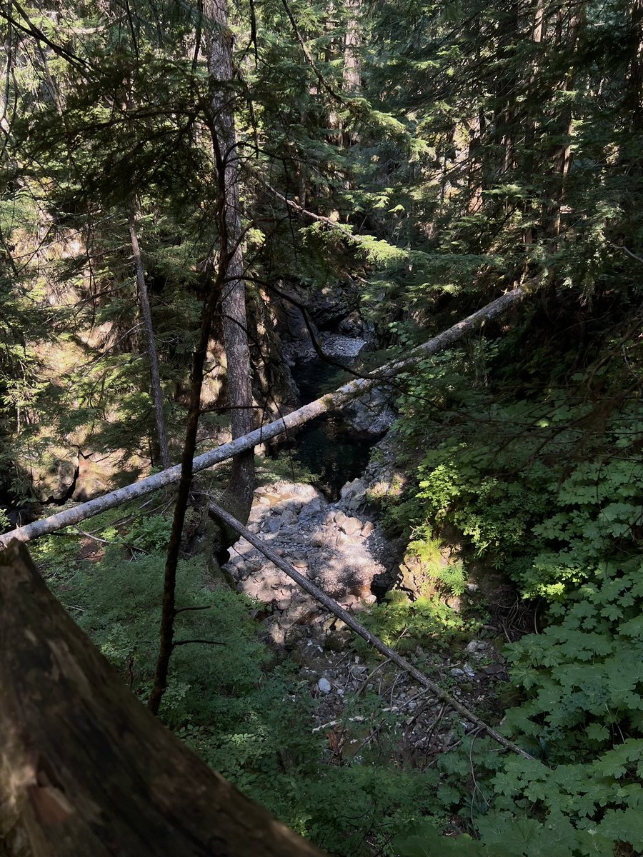 lakeshow7714315's tweet photo. Tiny baby hike
#MoreToComeSoon
#Wayyyy2Early4This https://t.co/MFLNT8LSqE