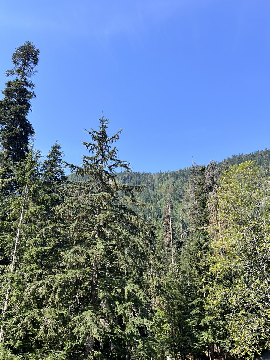 lakeshow7714315's tweet photo. Tiny baby hike
#MoreToComeSoon
#Wayyyy2Early4This https://t.co/MFLNT8LSqE
