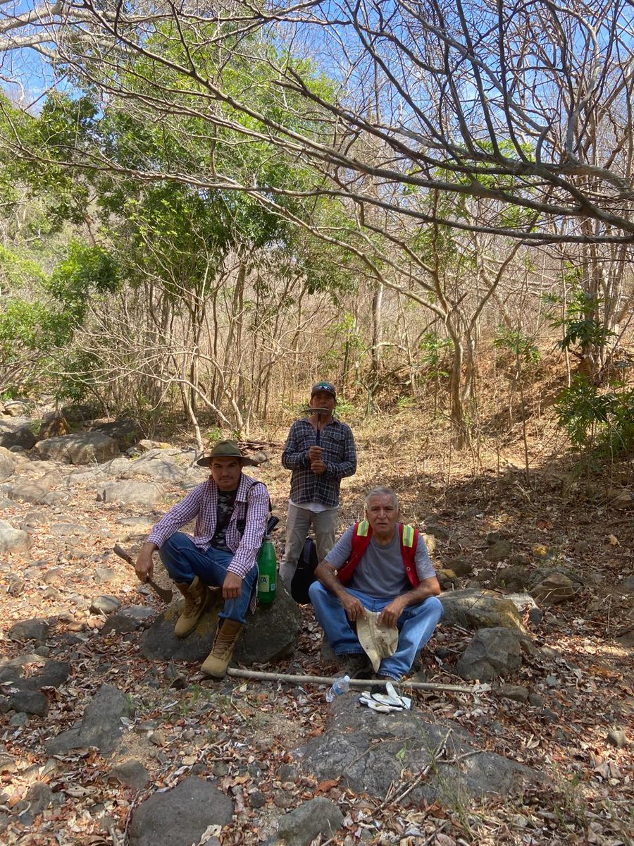 MercadoMinerals's tweet photo. At Zamora, we're just getting started.
A district-scale system with 14 high-grade silver-gold vein occurrences, historic workings, and no drilling yet. Future work will focus on defining the first drill targets. Pictured: Head Geologist Jose Vizcarra and local crew at the Project https://t.co/Kuryh8ph5R