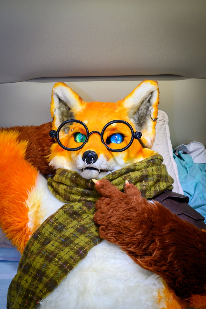 chilinglingling's tweet photo. What?  Aren't you allowed to lie down here?  !
#fursuit https://t.co/6v9ikuXNGA