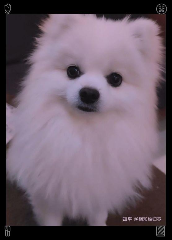 ff45622's tweet photo. 那天晚上，他们围坐在桌旁，翻看多年来拍下的所有鲜花自拍——从 Lila 的第一张雏菊自拍，到他们的婚礼照，再到与孩子们的合影。每一张照片都是一段回忆，也是他们故事的一��分。背包带 https://t.co/1upvUl36Y8